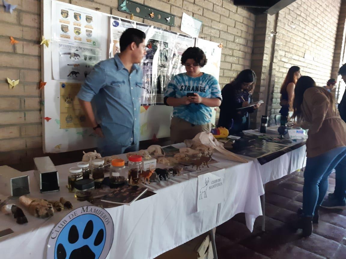 Inicia Quinto Festival Sonorense de las Aves en Hermosillo
