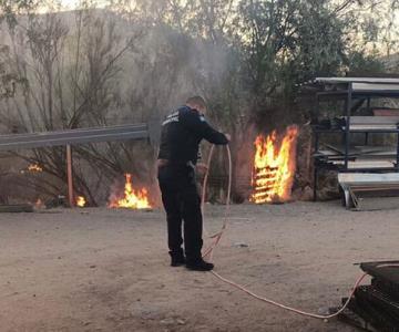 Bomberos controlan un incendio de maleza en el Parque Industrial